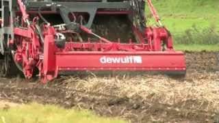 Dewulf Kwatro  4row selfpropelled potato harvester [upl. by Eilsel]