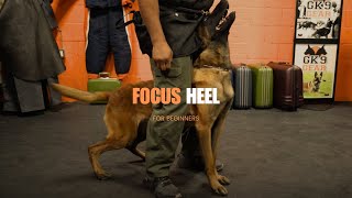 The Focus Heel For Beginners [upl. by Nerreg]