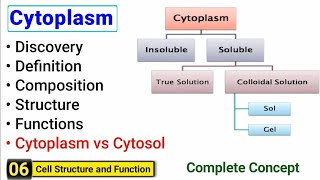 Cytoplasm structure and function  Complete Concept  J Biology [upl. by Glynas]