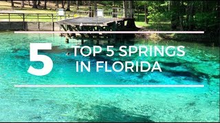 TOP 5 SPRINGS in FLORIDA with a CAMPGROUND [upl. by Mou612]