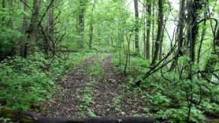 McKendree Hospital Ruins [upl. by Wieren526]