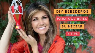 DIY BEBEDEROS PARA COLIBRÍES SU NÉCTAR LO QUE quotSIquot Y quotNOquot HACER  LUZ BLANCHET [upl. by Neerual]