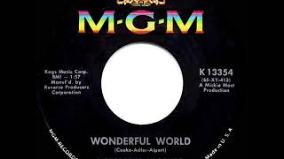 1965 HITS ARCHIVE Wonderful World  Herman’s Hermits [upl. by Nosreve]