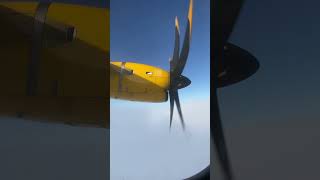 Aurigny arrival into Guensey from Paris Charles de Gaulle [upl. by Aihsar]