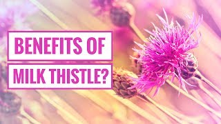 4 Potential Benefits of Milk Thistle [upl. by Eidolem803]