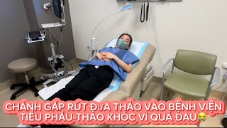 CHÁNH VỖI VÃ ĐƯA THẢO VÀO BỆNH VIỆN ĐỂ TIỂU PHẨU  THẢO KHÓC VÌ QUÁ ĐAU😭😭😭 [upl. by Ortrud]