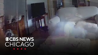 Dog sets house on fire after chewing on battery pack [upl. by Weiss]