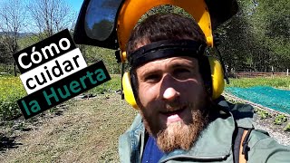 Como preparar el SUELO para poner BANCALES Cómo CUIDAR 🏥 la HUERTA 🌿  1ª parte  Ep112020 [upl. by Eelarual184]