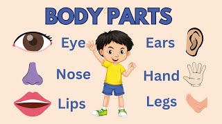 Body Parts Name with Spellings Parts of Body Learn Body Parts Body Parts Name for kids👦 english [upl. by Tadeo]