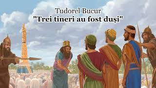 Tudorel Bucur quotTrei tineri au fost dușiquot NOU 2023 [upl. by Nwadal]