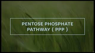 Biochemistry  pentose phosphate pathway ppp [upl. by Ennagem]