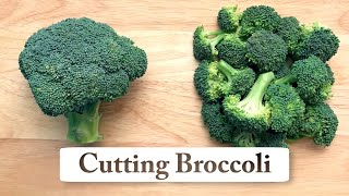 How to Cut Broccoli into Small Florets for Stirfry Pasta Soup Veggie Tray or Steamed [upl. by Camroc]