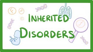 GCSE Biology  Why We Inherit Diseases From Our Family  Polydactyly amp Cystic Fibrosis 75 [upl. by Relly]