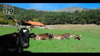 Finca Camorritos La primera granja biodinámica de España se encuentra en Cercedilla [upl. by Noyk]