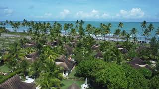 Praia Dos Carneiros Tamandaré Pernambuco O Trecho Menos Conhecido Da Praia [upl. by Ronalda842]