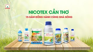 NICOTEX CẦN THƠ  15 NĂM ĐỒNG HÀNH CÙNG NHÀ NÔNG [upl. by Revkah]