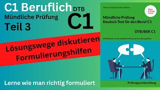 Lösungswege diskutieren  Deutsch Beruf C1 Teil 3  Formulierungshilfen telc  Mündliche Prüfung [upl. by Eetsirk]