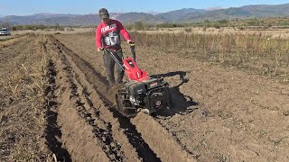 Rotakt MF 400 la arat  Plowing with two wheel tractor [upl. by Maier435]