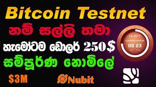 nubit testnet airdrop sinhala nubit airdrop nubit testnet sinhala nubittestnet eurolanka nubit [upl. by Yrreiht]