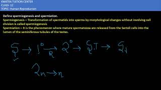 5 Define spermiogenesis and spermiation [upl. by Airretal]