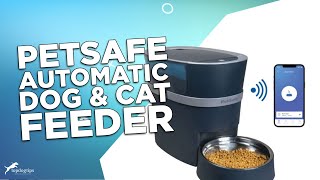 Review PetSafe Automatic Dog amp Cat Feeder [upl. by Beall]