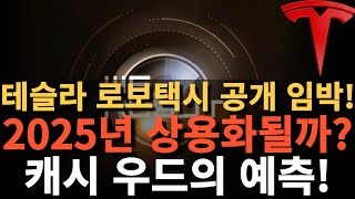 테슬라 로보택시 공개 임박 2025년 상용화될까 캐시 우드의 예측 [upl. by Amend]