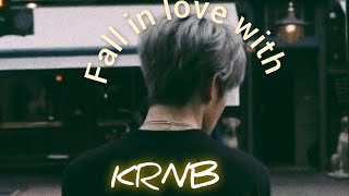 PLAYLIST Fall in love with Krnb [upl. by Eivad]