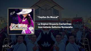 Copitas De Mezcal  La Original Orquesta Cacharrines [upl. by Madigan813]