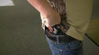 Amendments to new permitless carry bill pass House Committee [upl. by Georgena479]