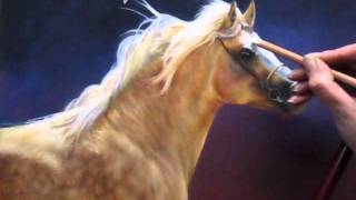 Speed Painting  Palomino in pastel [upl. by Suivatna]