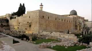 مؤذن  Muezzin of Jerusalems Old City  המואזין בעיר העתיקה בירושלים [upl. by Sidnala]