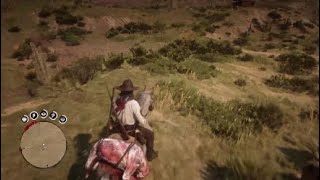 Red Dead Redemption 2 TornMended Treasure Map [upl. by Mihalco]