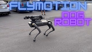 BOSTON DYNAMICS SPOT  FLYMOTION  DOG ROBOT [upl. by Artim]