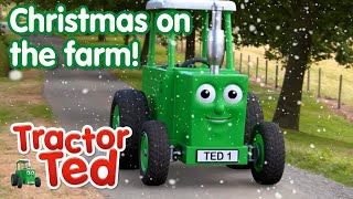 Christmas On The Farm 🎄  Tractor Ted Clips  Tractor Ted Official Channel [upl. by Germana]