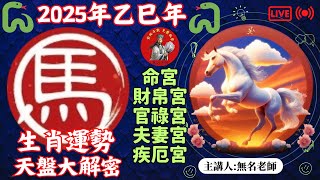 🐴2025年 馬 生肖運勢｜2025年乙巳年｜十二生肖天盤運程預測大解密！｜生肖馬在2025年馬年男命女命運勢解析  命運好好玩 【2025乙巳年12生肖流年運勢分析精選EP2】 [upl. by Lissa]