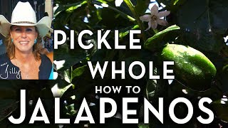 How to Pickle Whole Jalapeno Peppers  Easy Beginner Method [upl. by Agle667]