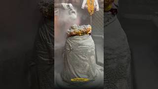 mahakaleshwar temple ujjain mahakal mahadev shorts [upl. by Ikey]