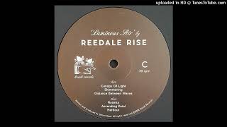 Reedale Rise  Distance Between Waves  KONDI 019 [upl. by Artemisia603]