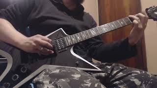 Pantera  Shedding Skin Cover [upl. by Minardi]