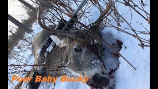 2017 Manitoba Whitetail Deer Hunting [upl. by Sumahs]