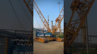 shortvideo crane [upl. by Haym584]