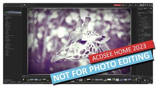 ACDSee Photo Studio Home 2023 Review  Buy Professional Instead [upl. by Bollay882]