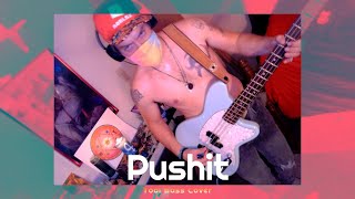 Pushit  Tool Bass Cover [upl. by Noirred170]