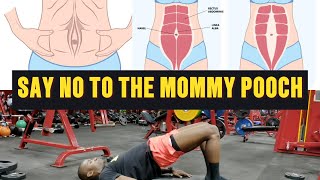 Diastasis Recti Correction Exercises  Say No to the Mommy Pooch  Postpartum Workout [upl. by Ecnarual]