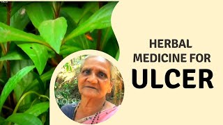 How to cure Ulcer and Hemorrhoids Naturally Herbal medicine for Ulcer and Piles  Home Remedies [upl. by Emlyn]