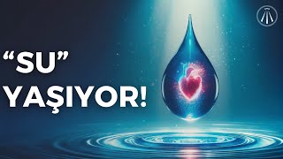 SU Hafızası Deneyi  Su Yaşayan Bir Varlık [upl. by Eri]