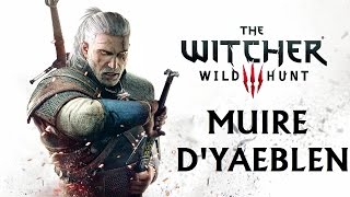 The Witcher 3  FR  Episode 95  Muire dYaeblen contrat [upl. by Mittel]