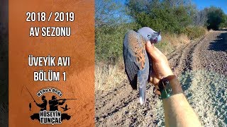 Üveyik avı 2018 bölüm 1 Net Atışlar Dove hunting 2018 part 1 [upl. by Arbua]