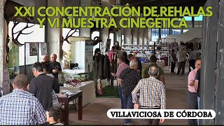 XXI CONCENTRACIÓN DE REHALAS Y VI MUESTRA CINEGÉTICA 2023 VILLAVICIOSA DE CÓRDOBA [upl. by Snehpets]