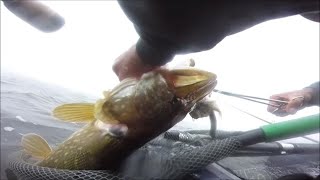 PÊCHE EN LOZÈRE BROCHET A CHARPAL SANDRE A NAUSSAC [upl. by Tabina]